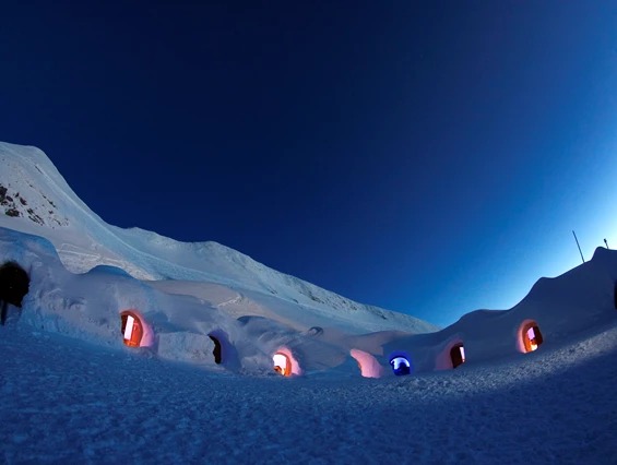 IgluLodge